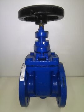 VÁLVULA DE COMPUERTA CON BRIDAS ACERO